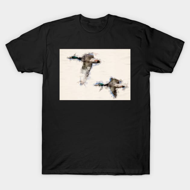 A Pair of Flying Mallard Ducks in Watercolor T-Shirt by jecphotography